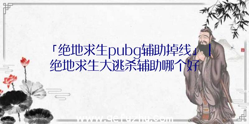 「绝地求生pubg辅助掉线」|绝地求生大逃杀辅助哪个好